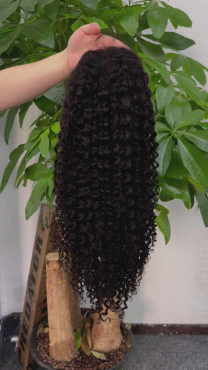 360 Curly Lace Frontal Wig 100% Unprocessed Malaysian Virgin Human Hair Thick No Tangle